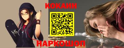 шишки Кандалакша