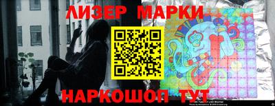 шишки Кандалакша