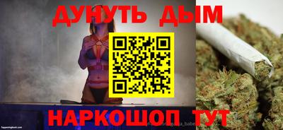 шишки Кандалакша