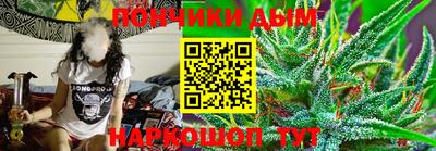шишки Кандалакша