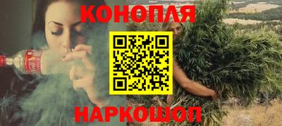 шишки Кандалакша
