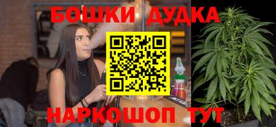 шишки Кандалакша