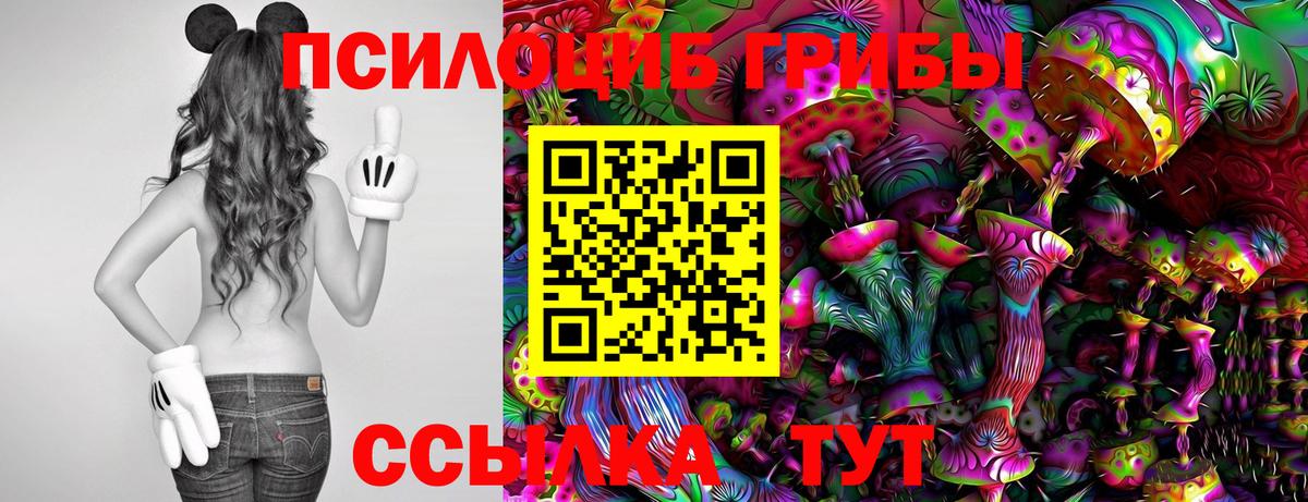 Псилоцибиновые грибы мицелий Ликино-Дулёво
